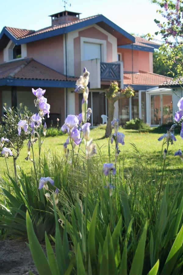 Villa Helianthe Audenge Dış mekan fotoğraf