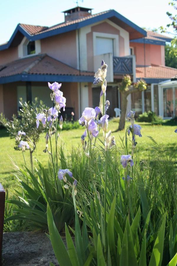 Villa Helianthe Audenge Dış mekan fotoğraf